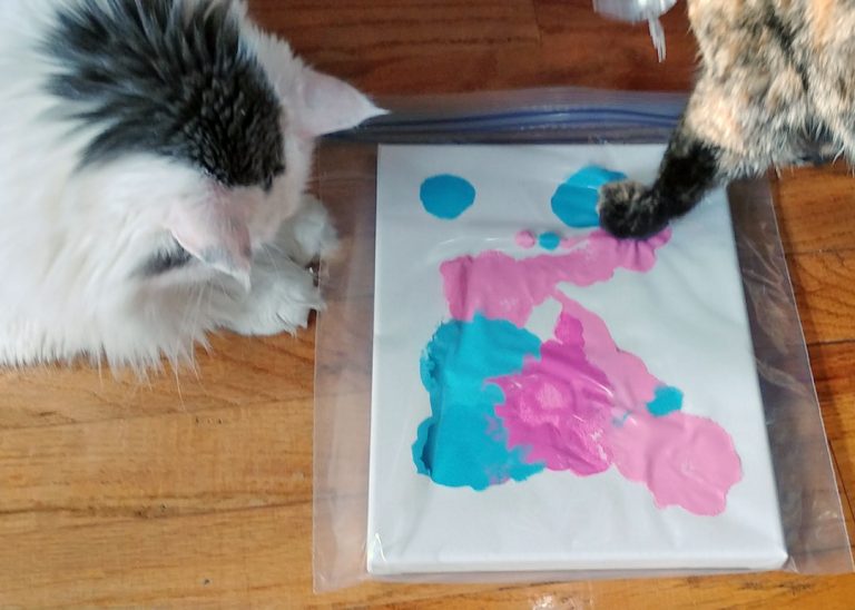 绘画与猫教程